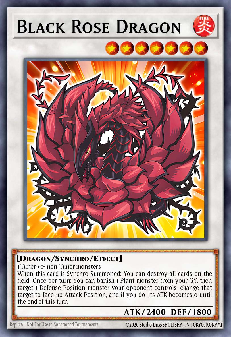 Black Rose Dragon