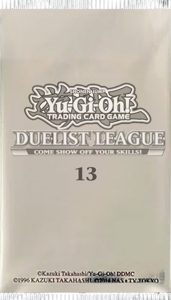 Duelist Liga 13
